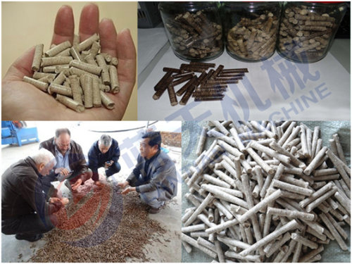 Fish feed pellet machine